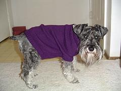 Basic Knitted Dog Sweater