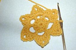Beginner's Crocheted Flower/ 6-Point Star