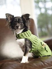 Dapper Doggie Sweater