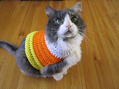 Candy Corn Pet Sweater